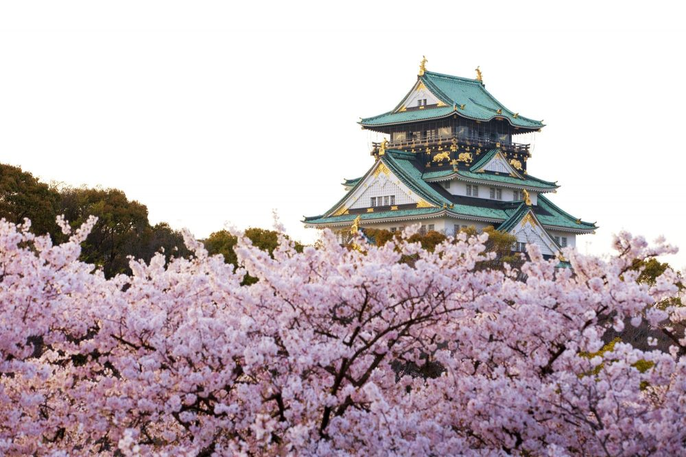 Tour du Lịch Nhật Bản: Hà Nội - Osaka - Kobe - Kyoto - Núi Phú Sĩ - Tokyo
